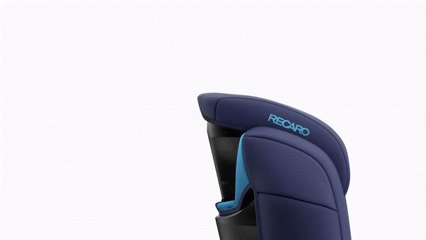Variabilita autosedačky RECARO Monza Nova Evo